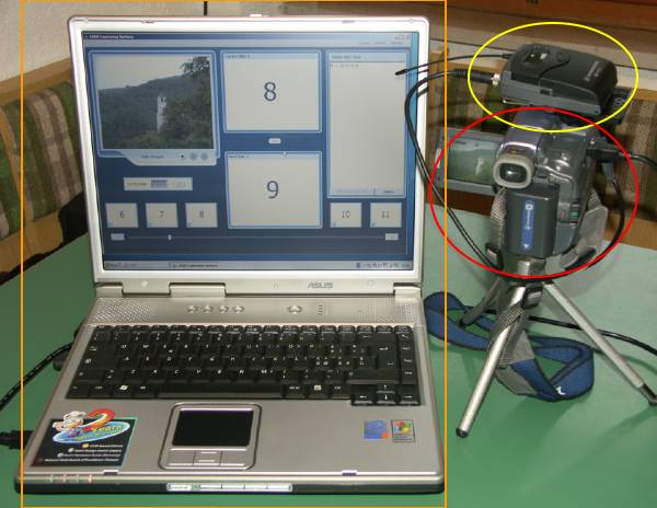Full-size image